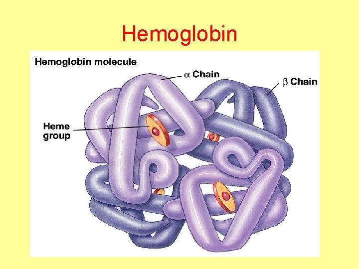 Hemoglobin 