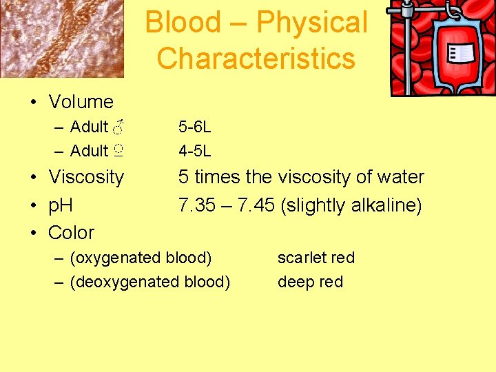 Blood – Physical Characteristics • Volume – Adult ♂ – Adult ♀ • Viscosity