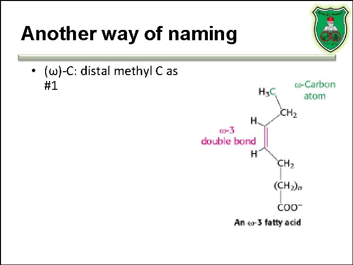 Another way of naming • (ω)-C: distal methyl C as #1 