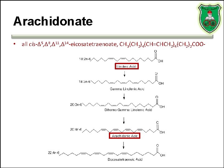Arachidonate • all cis-Δ 5, Δ 8, Δ 11, Δ 14 -eicosatetraenoate, CH 3(CH