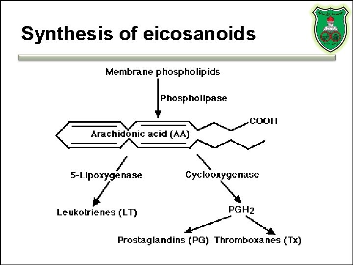 Synthesis of eicosanoids 