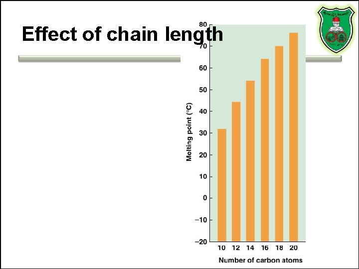 Effect of chain length 