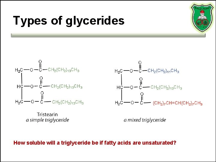 Types of glycerides How soluble will a triglyceride be if fatty acids are unsaturated?
