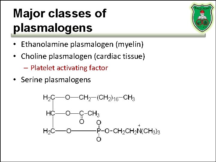 Major classes of plasmalogens • Ethanolamine plasmalogen (myelin) • Choline plasmalogen (cardiac tissue) –