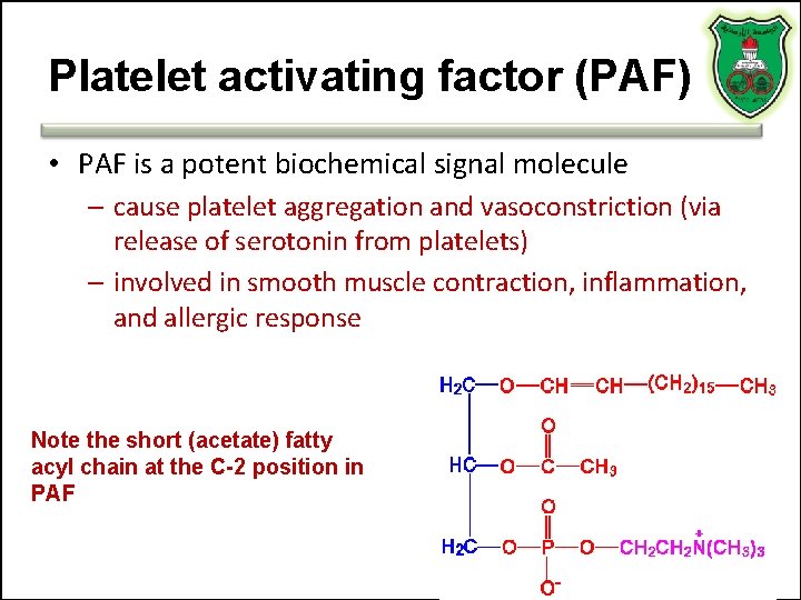 Platelet activating factor (PAF) • PAF is a potent biochemical signal molecule – cause