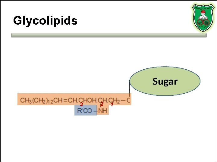 Glycolipids 3 2 1 