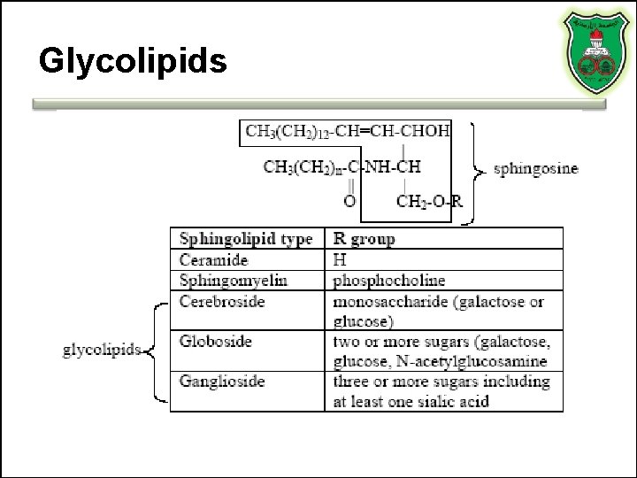 Glycolipids 