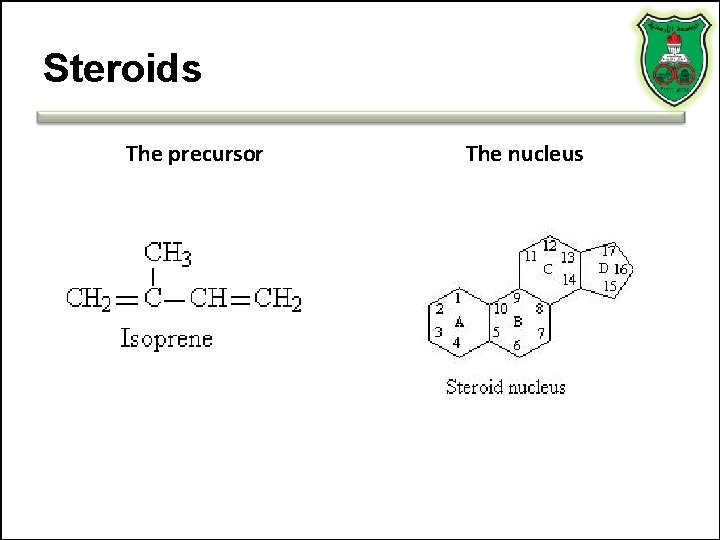 Steroids The precursor The nucleus 
