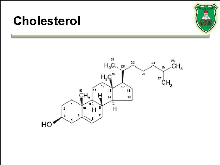 Cholesterol 