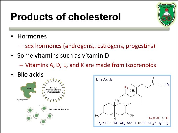 Products of cholesterol • Hormones – sex hormones (androgens, . estrogens, progestins) • Some