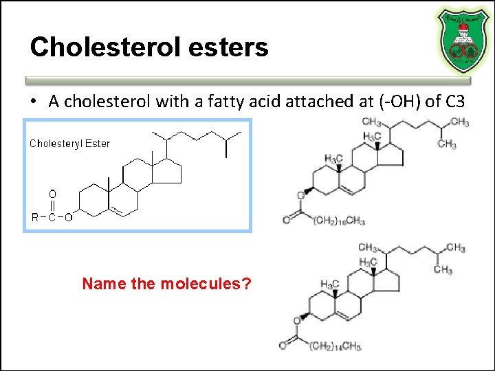 Cholesterol esters • A cholesterol with a fatty acid attached at (-OH) of C