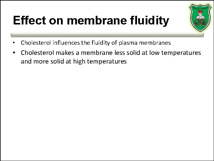 Effect on membrane fluidity • Cholesterol influences the fluidity of plasma membranes • Cholesterol