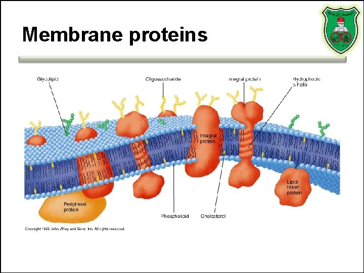 Membrane proteins 