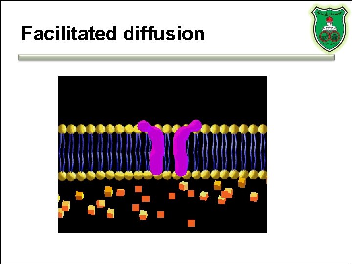 Facilitated diffusion 