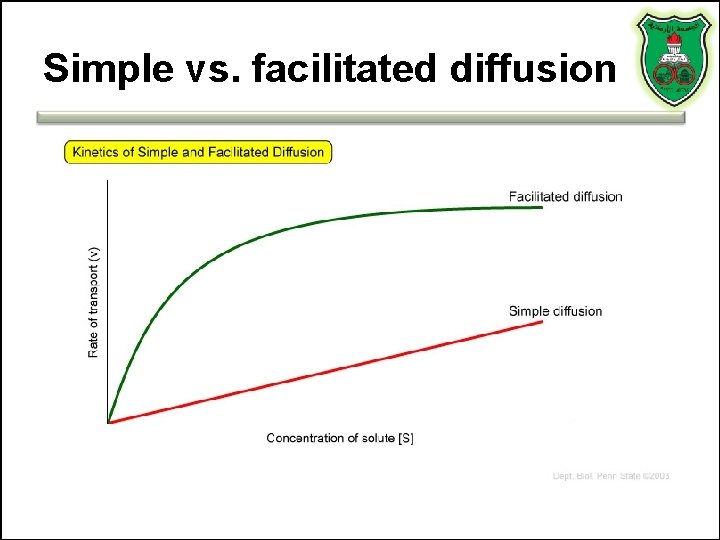 Simple vs. facilitated diffusion 