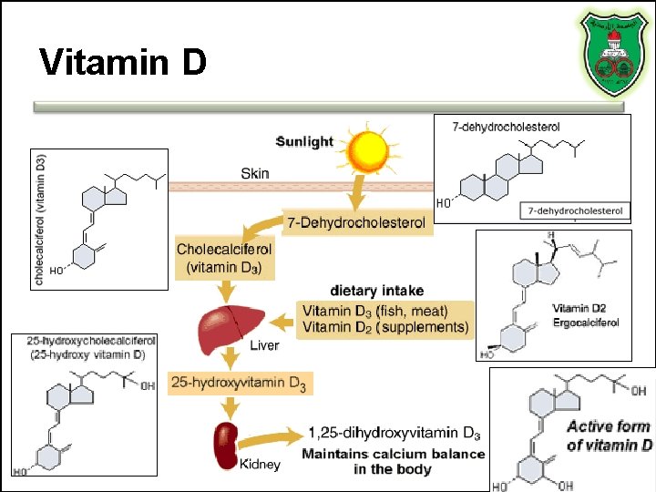 Vitamin D 