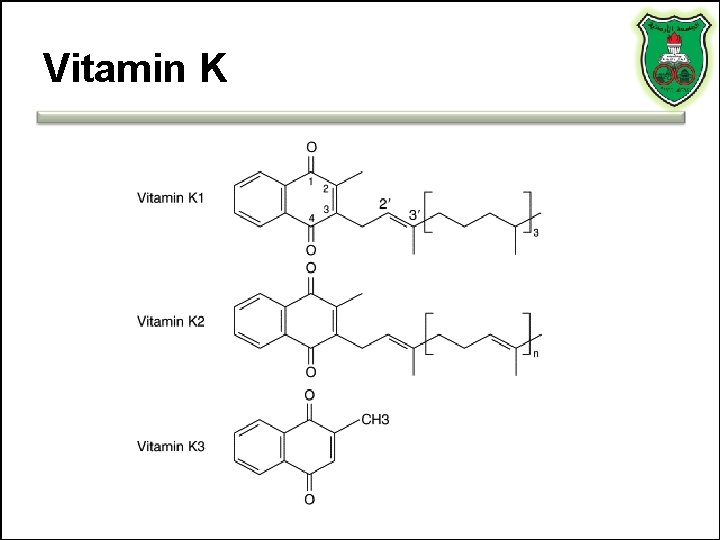 Vitamin K 