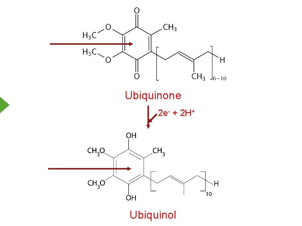 Ubiquinone 2 e- + 2 H+ Ubiquinol 
