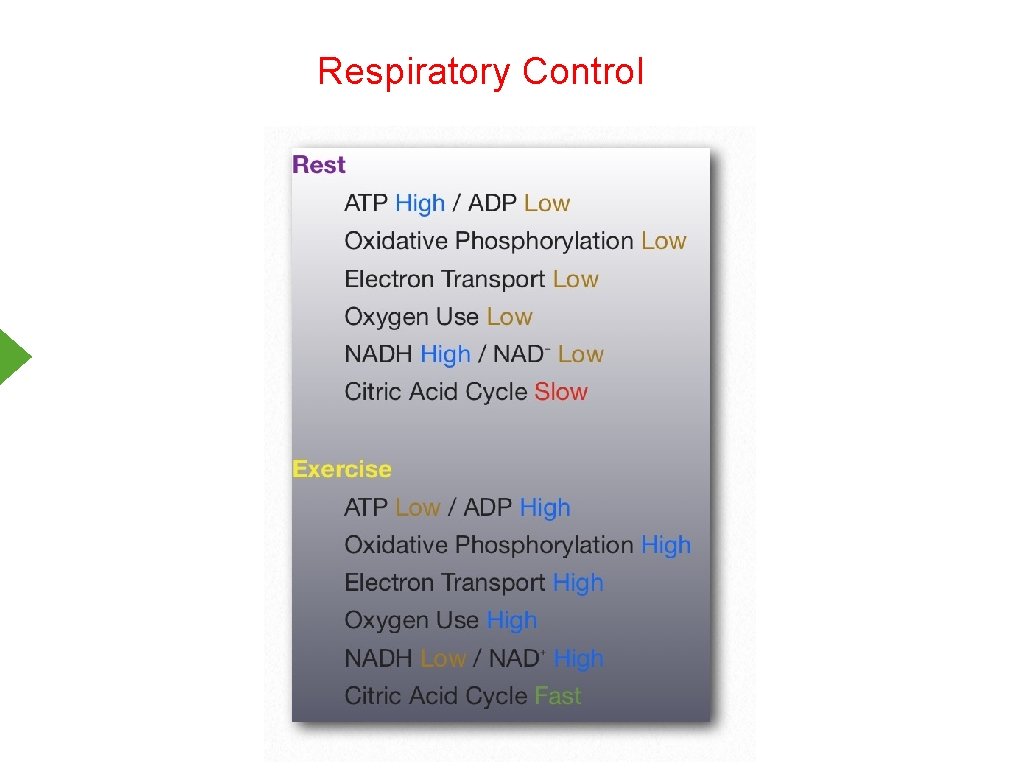 Respiratory Control 