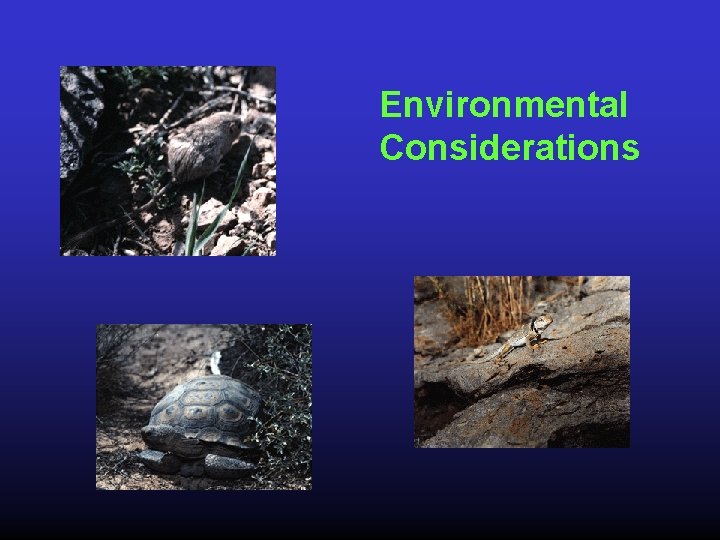 Environmental Considerations 