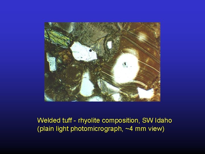 Welded tuff - rhyolite composition, SW Idaho (plain light photomicrograph, ~4 mm view) 