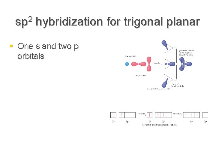 sp 2 hybridization for trigonal planar § One s and two p orbitals 