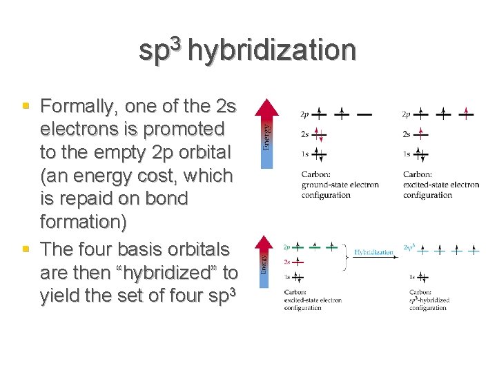 sp 3 hybridization § Formally, one of the 2 s electrons is promoted to