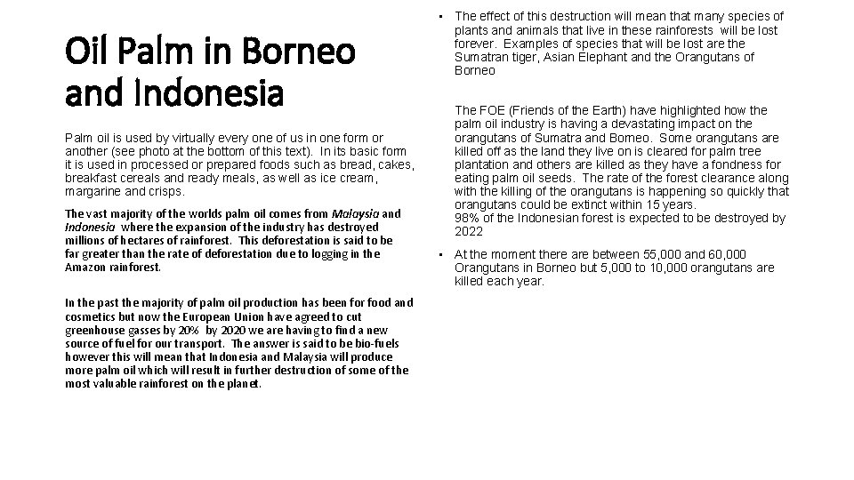 Oil Palm in Borneo and Indonesia Palm oil is used by virtually every one