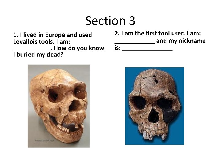 Section 3 1. I lived in Europe and used Levallois tools. I am: ______.