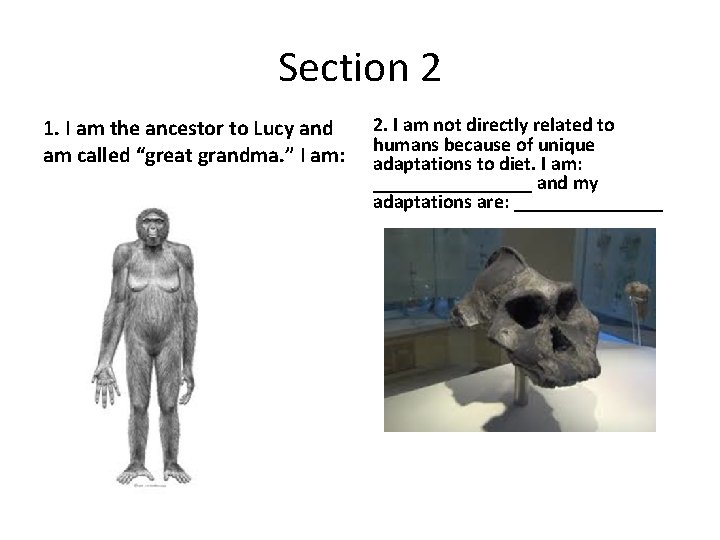 Section 2 1. I am the ancestor to Lucy and am called “great grandma.