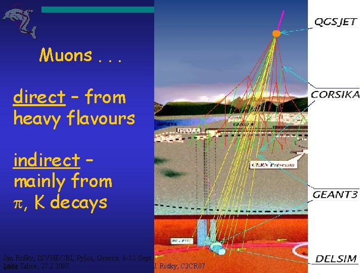 Muons. . . direct – from heavy flavours indirect – mainly from , K