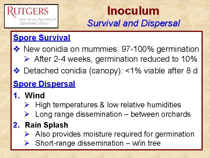 Inoculum Survival and Dispersal Spore Survival v New conidia on mummies: 97 -100% germination