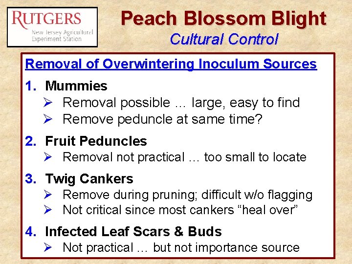 Peach Blossom Blight Cultural Control Removal of Overwintering Inoculum Sources 1. Mummies Ø Removal