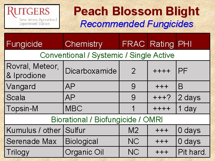 Peach Blossom Blight Recommended Fungicides Fungicide Chemistry FRAC Rating PHI Conventional / Systemic /