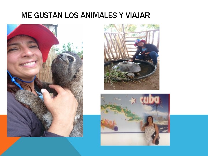 ME GUSTAN LOS ANIMALES Y VIAJAR 