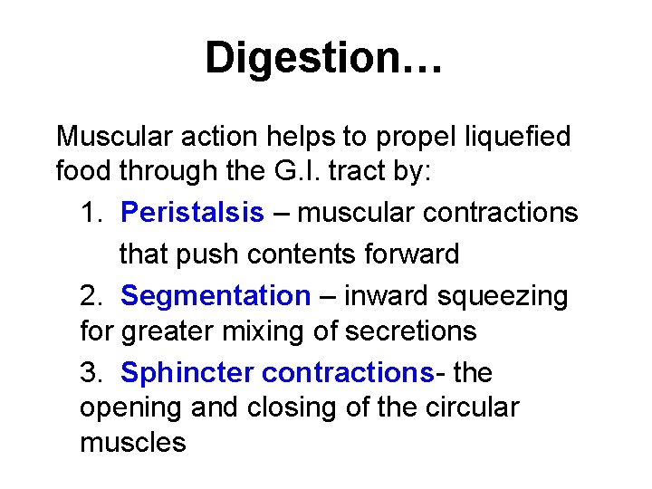 Digestion… Muscular action helps to propel liquefied food through the G. I. tract by: