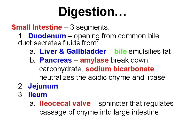 Digestion… Small Intestine – 3 segments: 1. Duodenum – opening from common bile duct