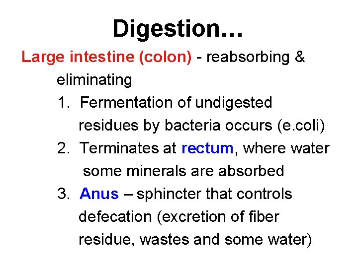 Digestion… Large intestine (colon) - reabsorbing & eliminating 1. Fermentation of undigested residues by
