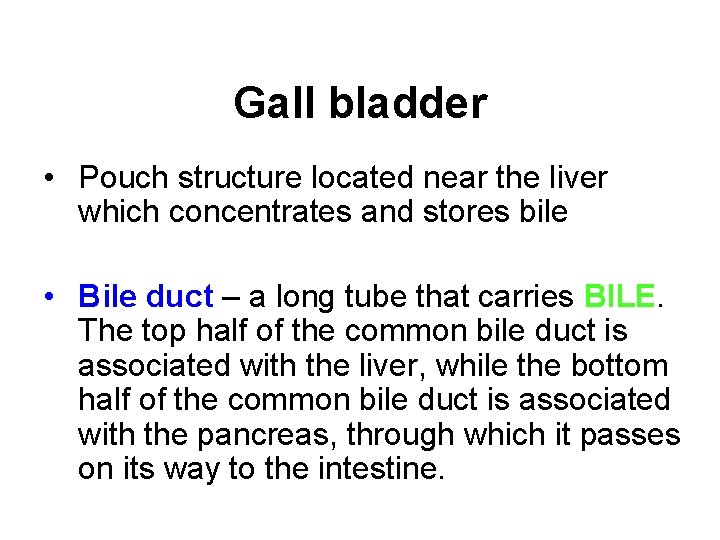 Gall bladder • Pouch structure located near the liver which concentrates and stores bile