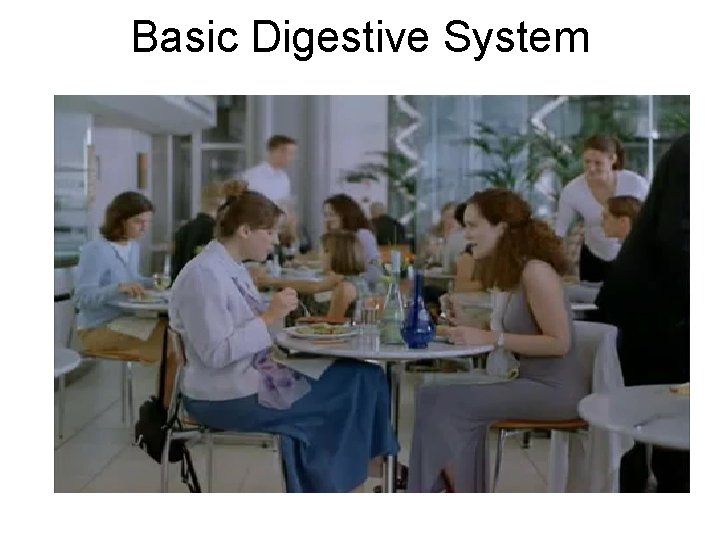 Basic Digestive System 