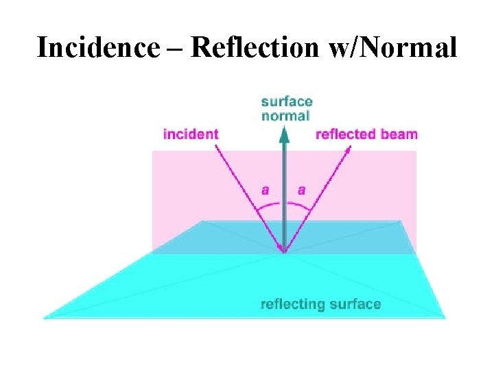 Incidence – Reflection w/Normal 