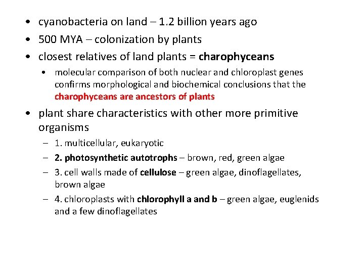  • cyanobacteria on land – 1. 2 billion years ago • 500 MYA