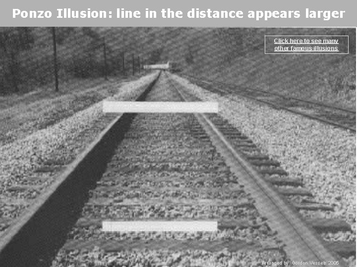 Ponzo Illusion: line in the distance appears larger Click here to see many other