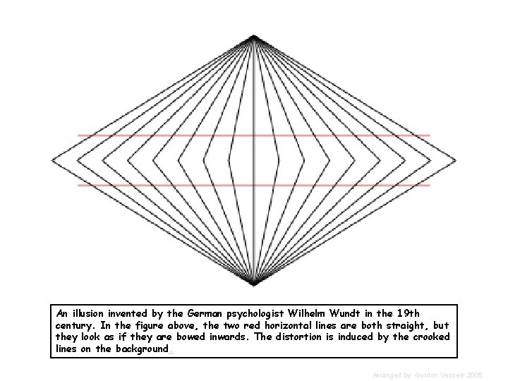 An illusion invented by the German psychologist Wilhelm Wundt in the 19 th century.