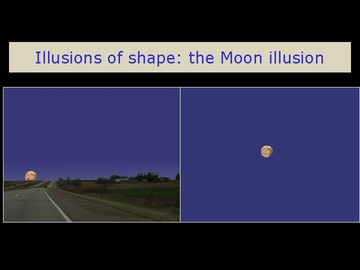 Illusions of shape: the Moon illusion 