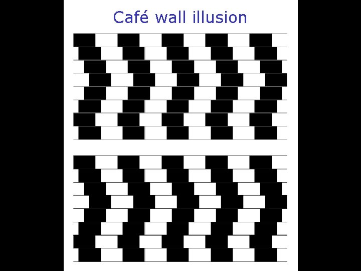 Café wall illusion 