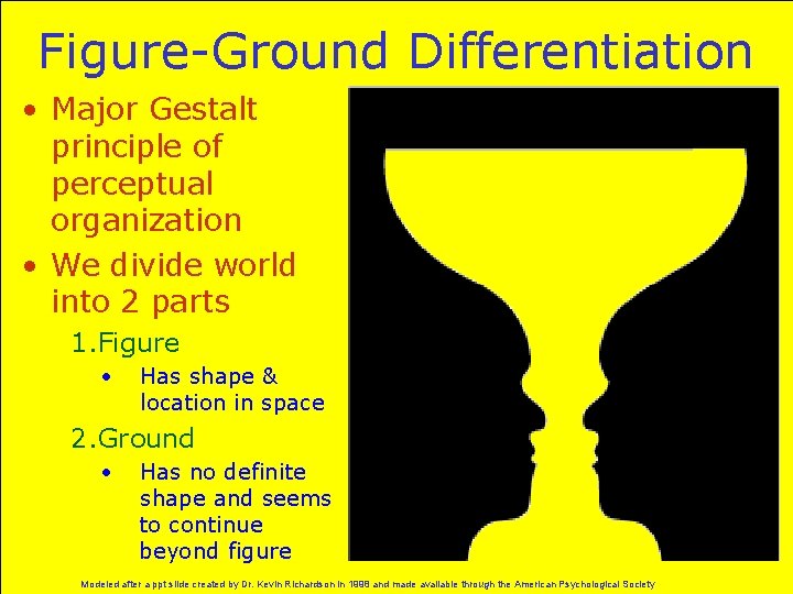 Figure-Ground Differentiation • Major Gestalt principle of perceptual organization • We divide world into