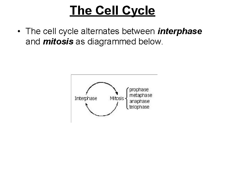 The Cell Cycle • The cell cycle alternates between interphase and mitosis as diagrammed