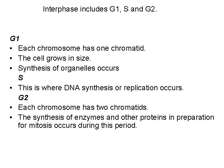  Interphase includes G 1, S and G 2. G 1 • Each chromosome
