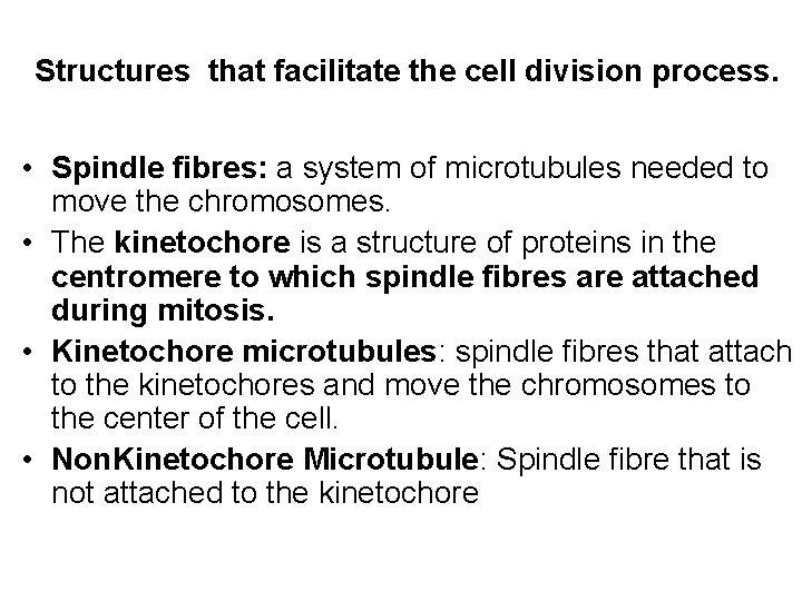 Structures that facilitate the cell division process. • Spindle fibres: a system of microtubules